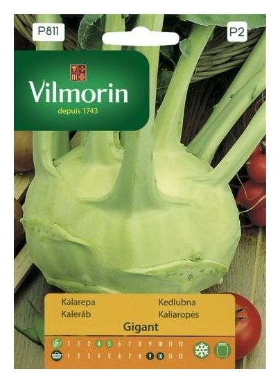 Kalarepa Gigant 2g Vilmorin
