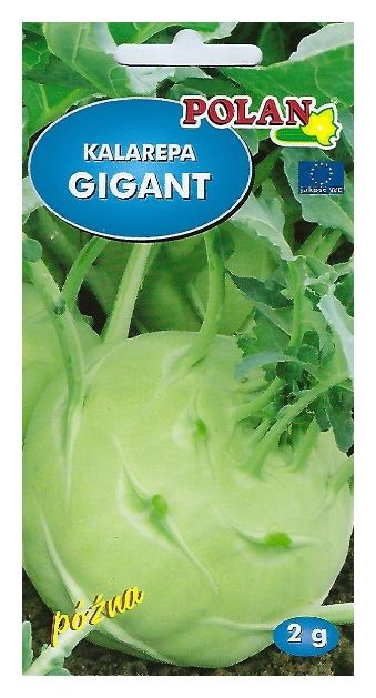 Kalarepa Gigant 2g Polan