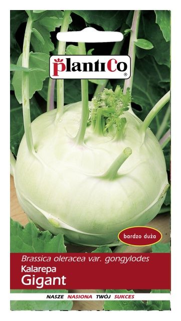 Kalarepa GIGANT 2g PlantiCo