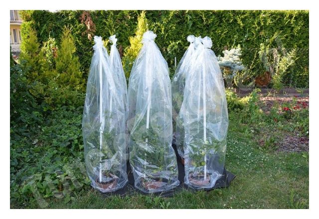 Kaptur foliowy na pomidory, paprykę, folia perforowana 0,65x1,5m Lemar