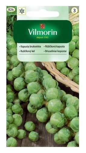 Kapusta  brukselka Groninger 2g Vilmorin
