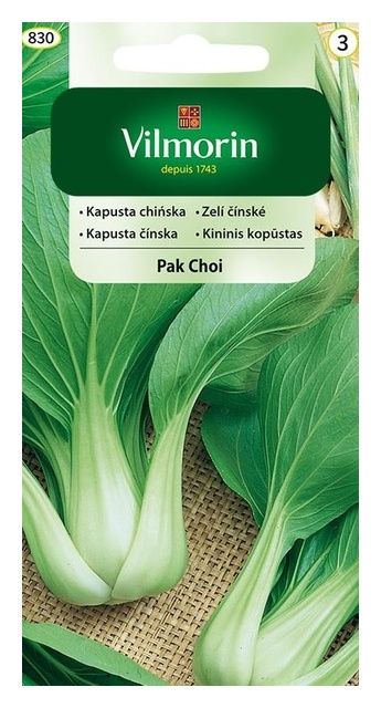 Kapusta chińska Pak Choi 2g Vilmorin