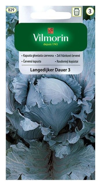 Kapusta czerwona Langedijker Dauer 3 2g Vilmorin