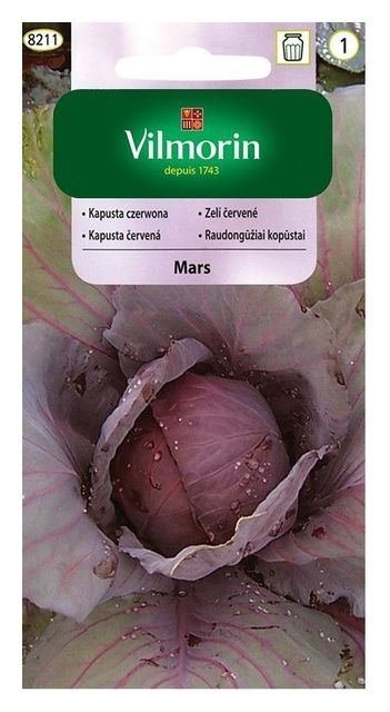 Kapusta czerwona Mars 2g Vilmorin