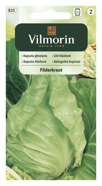 Kapusta głowiasta biała Filderkraut 2g Vilmorin