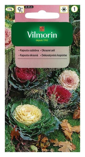 Kapusta ozdobna 0,1g Vilmorin