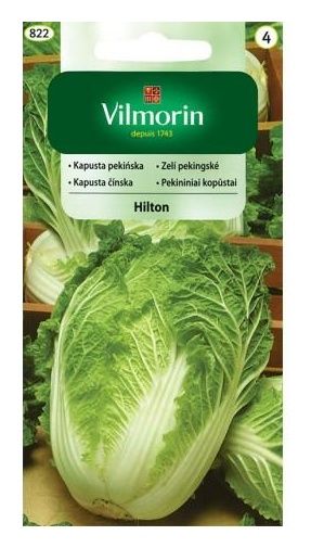 Kapusta pekińska Hilton 0,5g Vilmorin