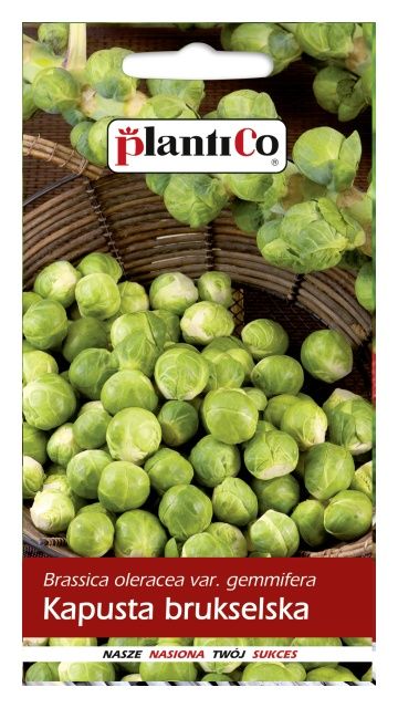 Kapusta brukselska Groninger 1g PlantiCo