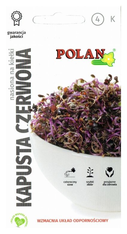 Kapusta czerwona kiełki 5g Polan