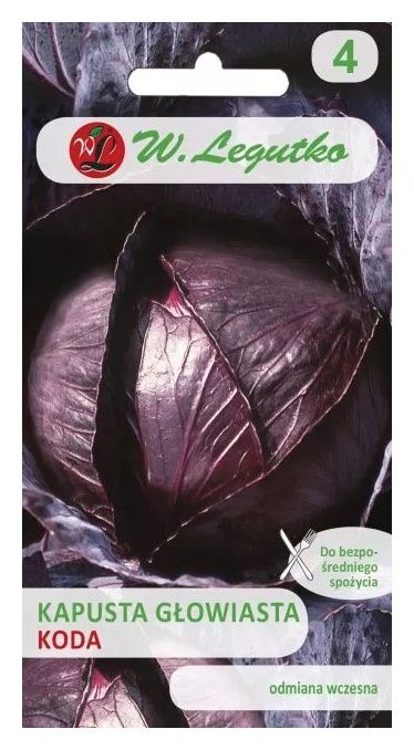 Kapusta czerwona Koda 2g Legutko