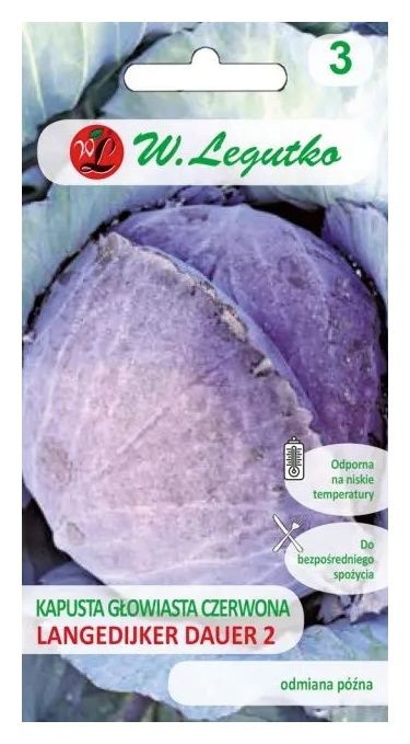 Kapusta czerwona Langedijker 2g Legutko