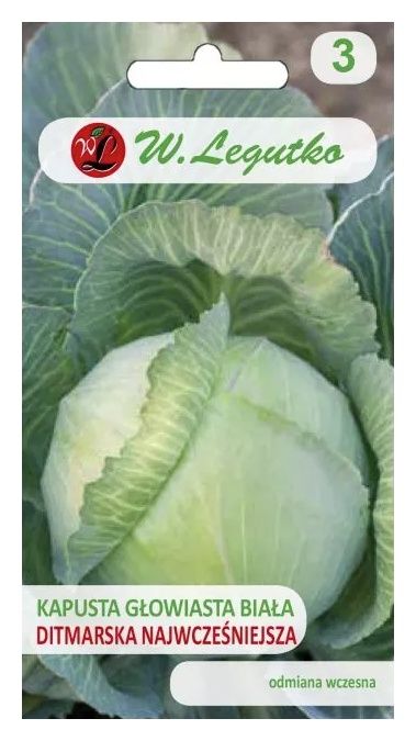 Kapusta Ditmarska 2 g Legutko