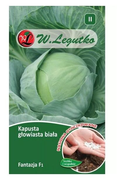 Kapusta Fantazja F1 nasiona otoczkowane 100 sztuk Legutko