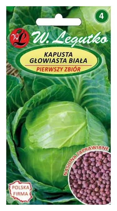 Kapusta głowiasta biała Pierwszy Zbiór - nasiona zaprawiane 2g Legutko