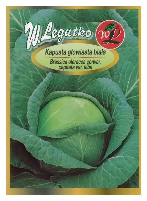 Kapusta Kamienna Głowa 100g Legutko