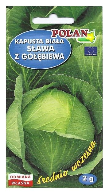 Kapusta Sława 2g Polan