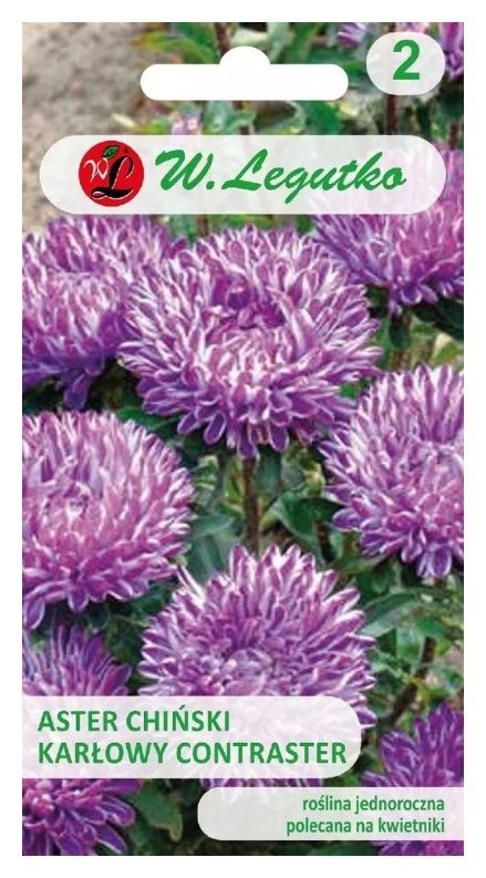 Aster chiński karłowy Contraster 0,5g Legutko