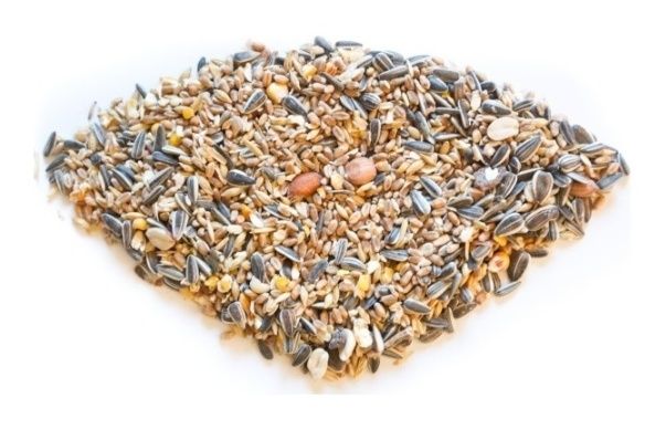 Karma sypka dla ptaków dziko żyjących 3 kg Brapta