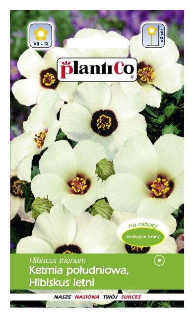 Ketmia południowa 1g PlantiCo