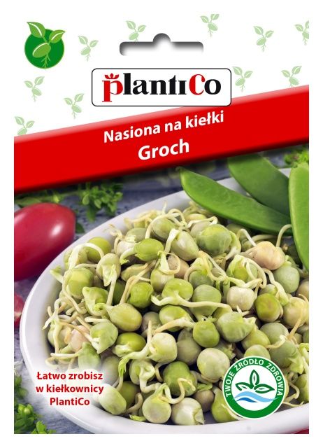 Kiełki Groch 80g PlantiCo