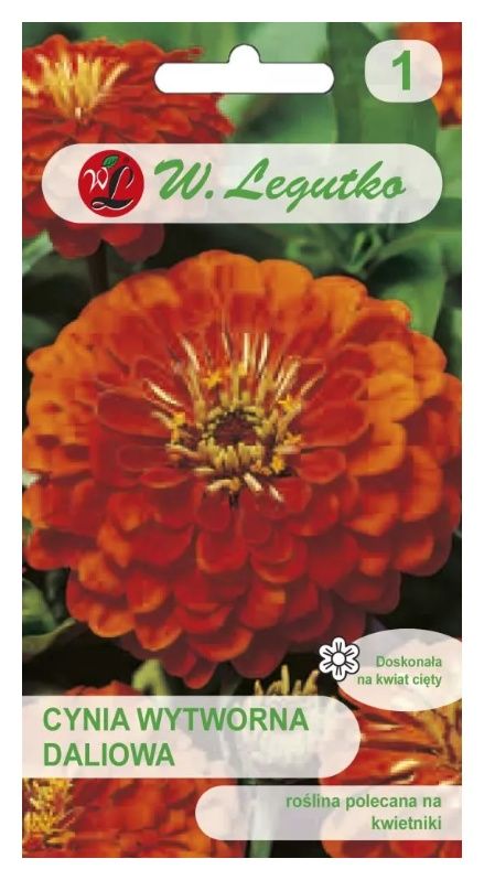 Cynia wytworna daliowa Orange King 1g Legutko