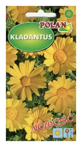 Kladantus żółty 0,1g Polan