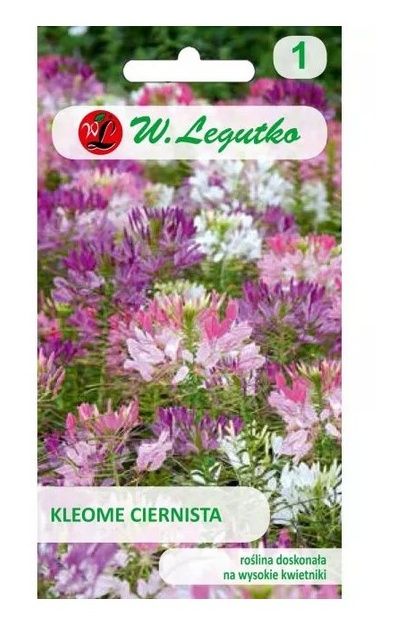 Kleome ciernista - mieszanka 0,5g Legutko