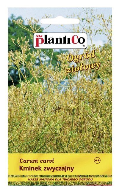 Kminek zwyczajny 3g PlantiCo