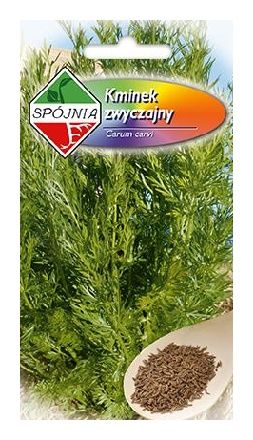 Kminek zwyczajny 3g Spójnia