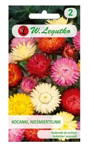 Kocanka - Nieśmiertelnik wysoki mieszanka 1g Legutko