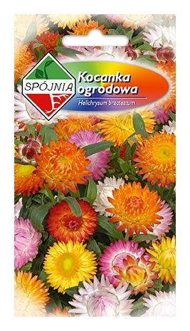 Kocanka ogrodowa 1g Spójnia
