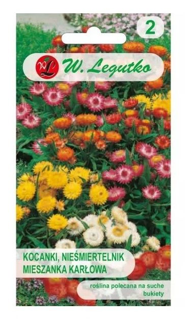 Kocanki, Nieśmiertelnik Tom Thumb - mieszanka karłowa 0,5g Legutko