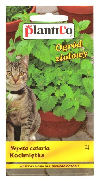 Kocimiętka 0,5g PlantiCo