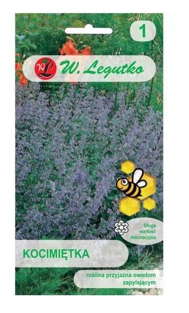 Kocimiętka niebiesko-fioletowa 0,2g Legutko