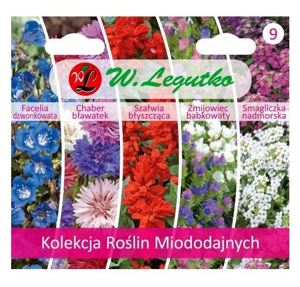 Kolekcja Roślin Miododajnych - 5 odmian Legutko
