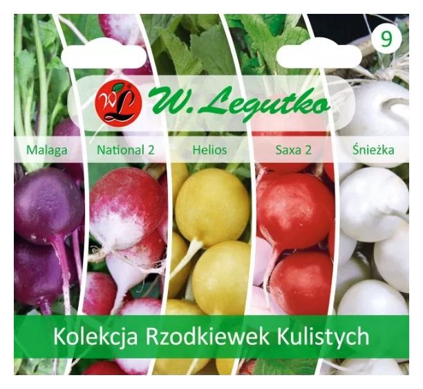 Kolekcja rzodkiewek kulistych - mieszanka odmian Legutko
