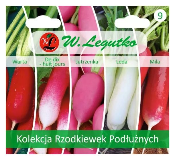Kolekcja rzodkiewek podłużnych - mieszanka odmian Legutko