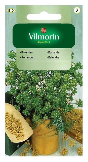 Kolendra 3g Vilmorin