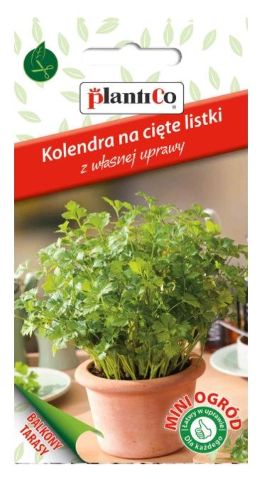 kolendra listki plantico