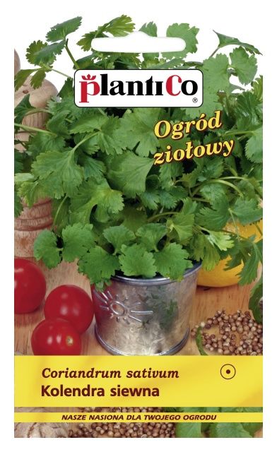 Kolendra siewna 3g PlantiCo