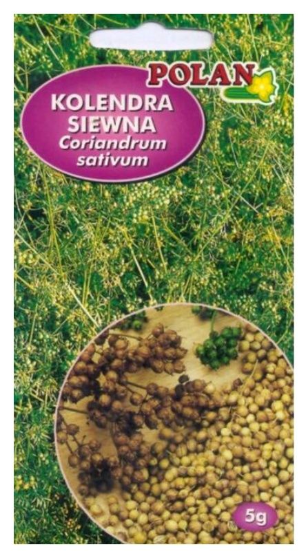 Kolendra siewna 5g Polan
