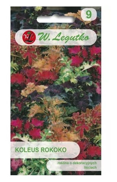 Koleus Blumego Rokoko mieszanka 0,02g Legutko