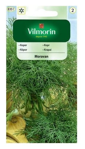 Koper ogrodowy Moravan 5g Vilmorin