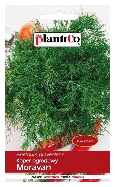 Koper Moravan 500g Plantico