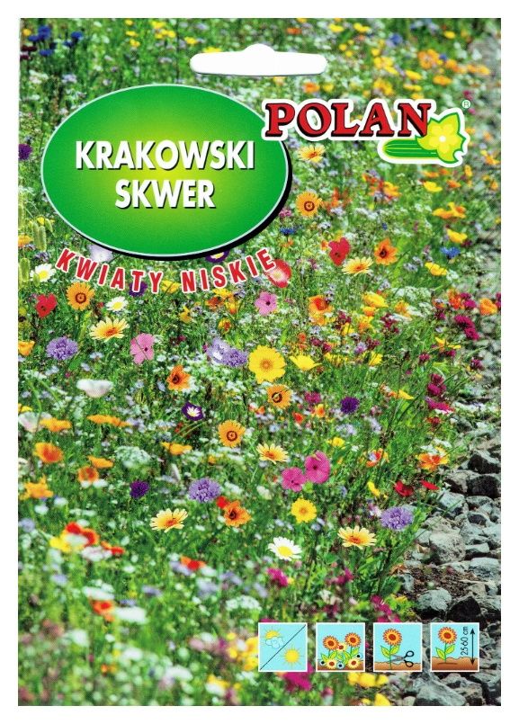 Krakowski Skwer kwiaty niskie 20g Polan