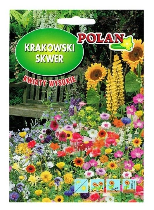 Krakowski Skwer kwiaty wysokie 30g Polan 