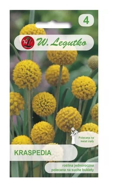 Kraspedia żółta 0,1g Legutko