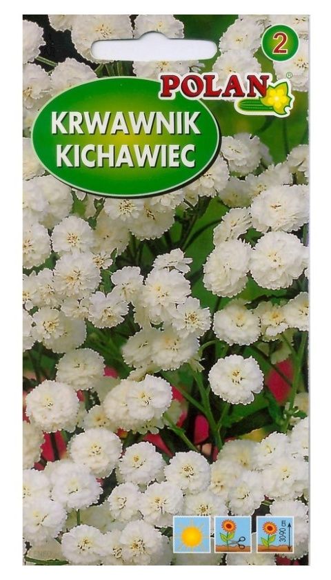 Krwawnik kichawiec 0,1g Polan