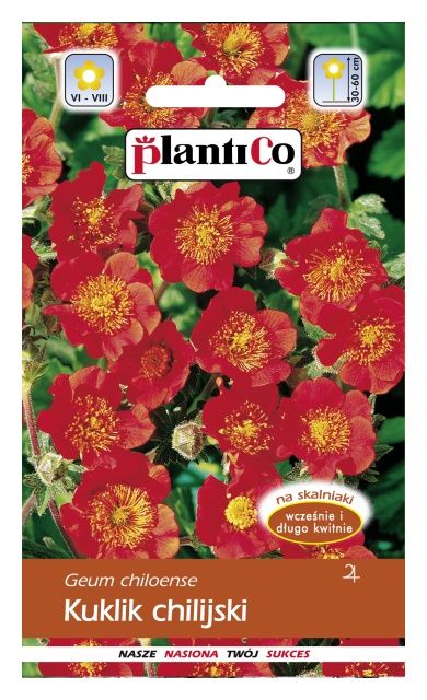 Kuklik 0,3g PlantiCo