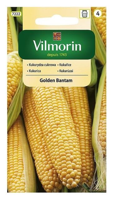 Kukurydza cukrowa Golden Bantam 20g Vilmorin